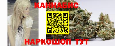 прущие грибы Новокубанск