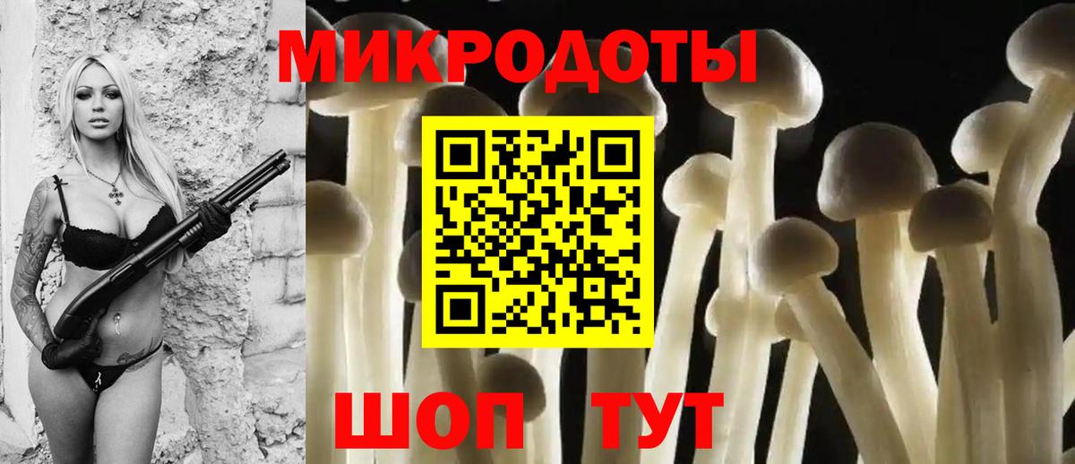 Великий Устюг  Псилоцибиновые грибы Psilocybe  Вход с VPN  Галлюциногенные грибы Psilocybine cubensis 