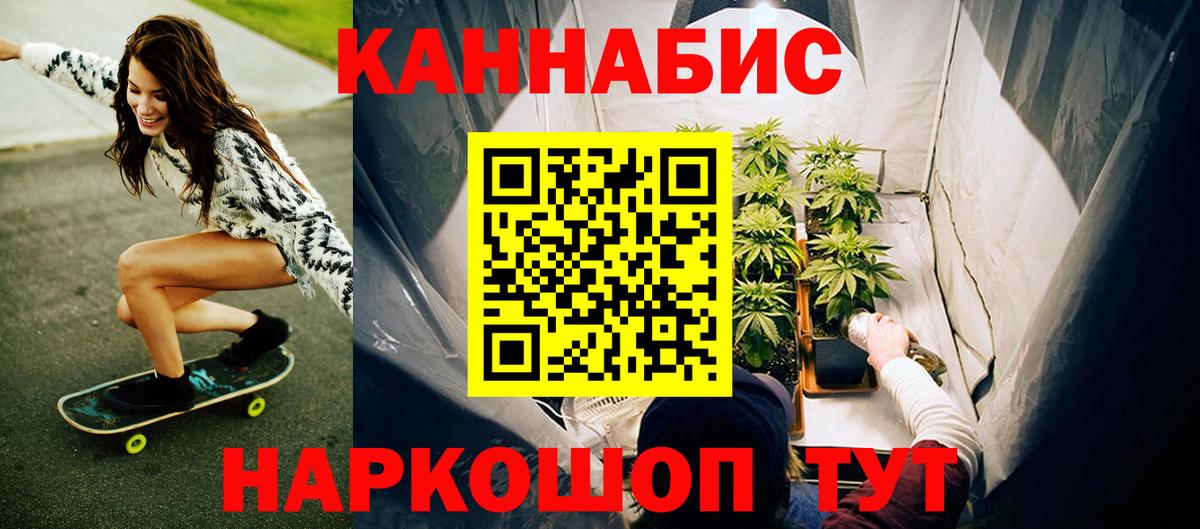 Шишки марихуана планчик  Марихуана сатива  Великий Устюг  Вход с VPN 